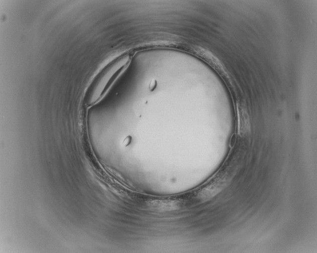 X0000071840435200607290111