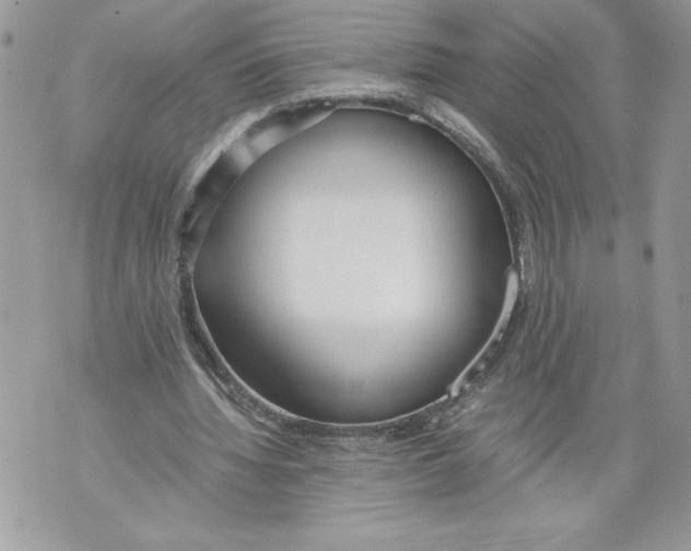 X0000071840436200607290111