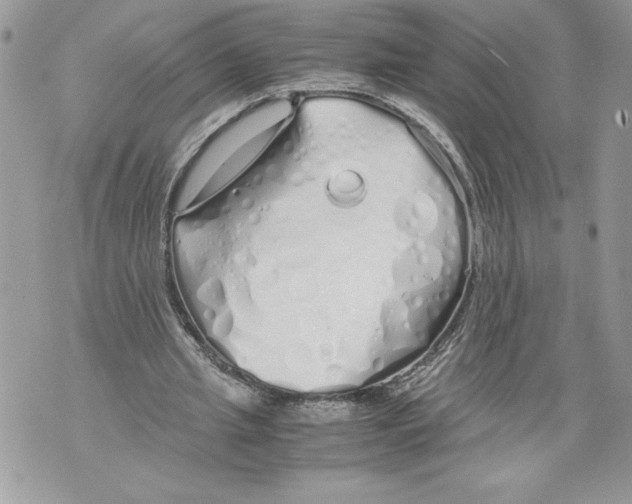 X0000071840437200607290111