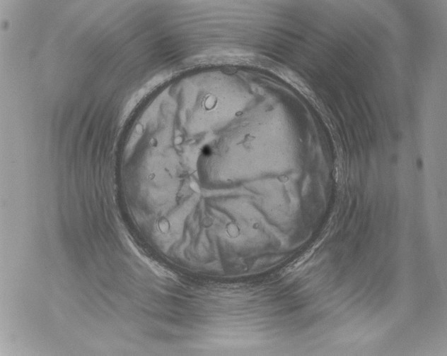 X0000071840438200607290111