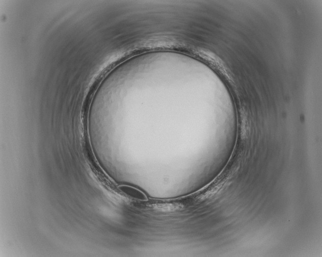 X0000071840439200607290111