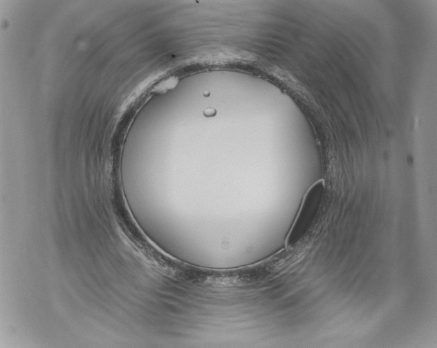 X0000071840440200607290111