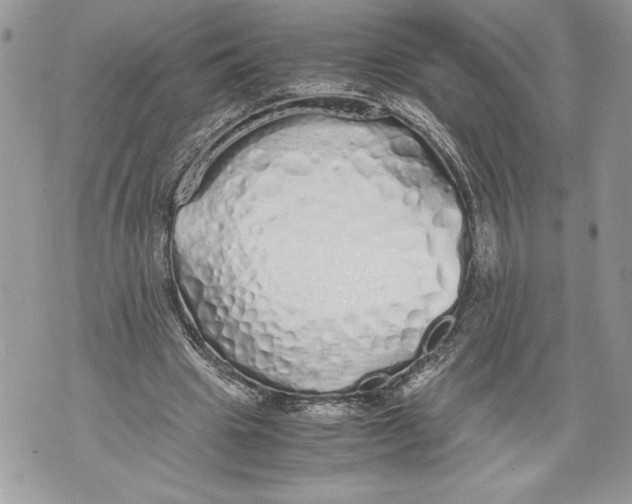 X0000071840441200607290111