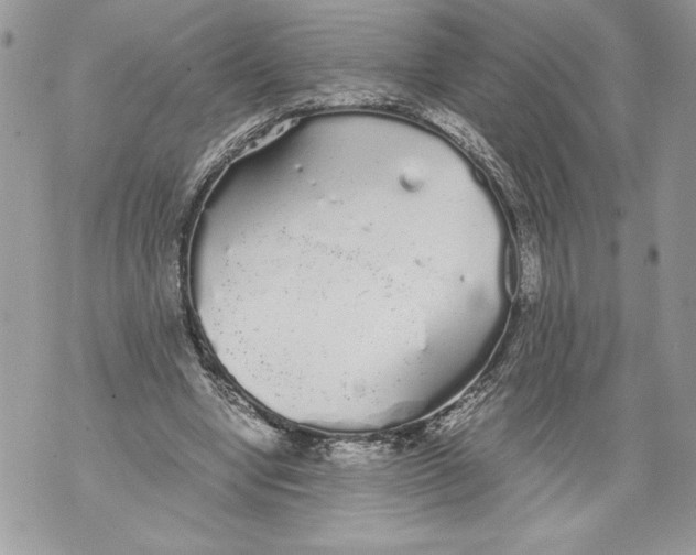 X0000071840442200607290111