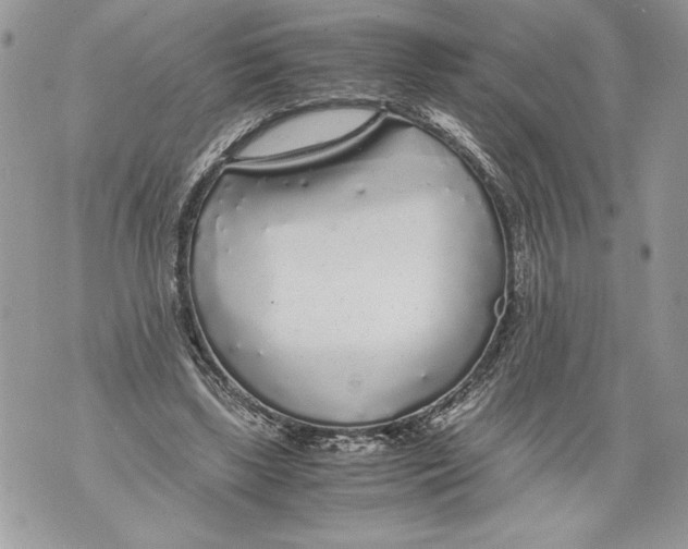 X0000071840443200607290111