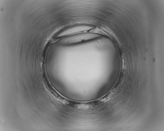 X0000071840444200607290111