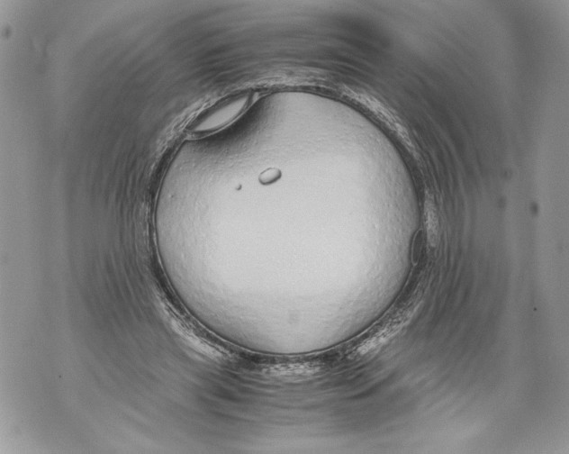 X0000071840445200607290111