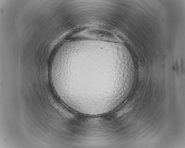 X0000071840446200607290111