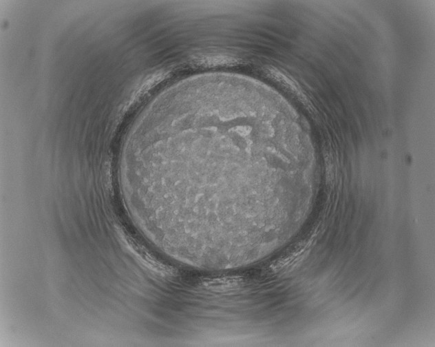 X0000071840447200607290111