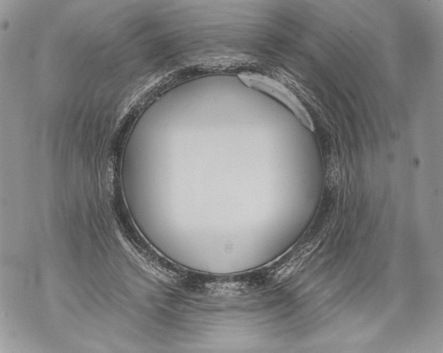 X0000071840448200607290111