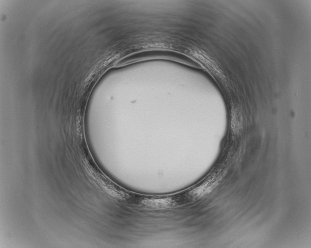 X0000071840449200607290111