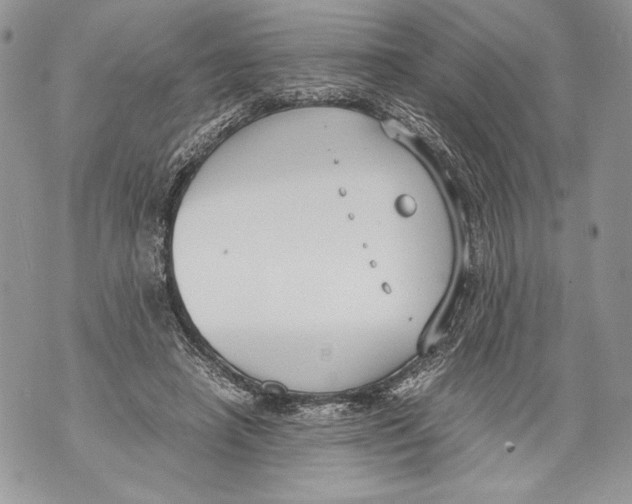 X0000071840450200607290111