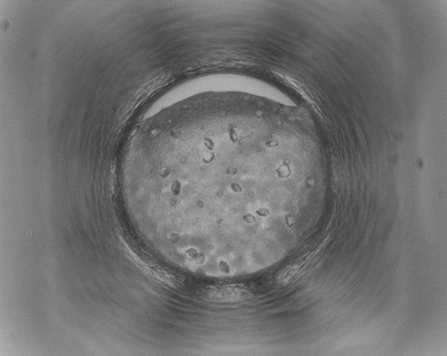 X0000071840451200607290112