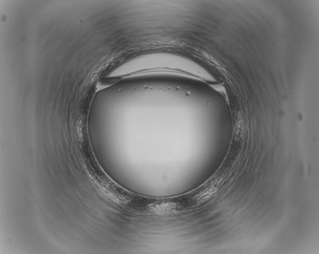 X0000071840452200607290112