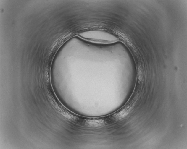 X0000071840453200607290112