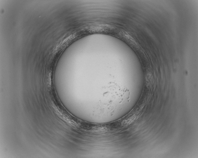 X0000071840454200607290112