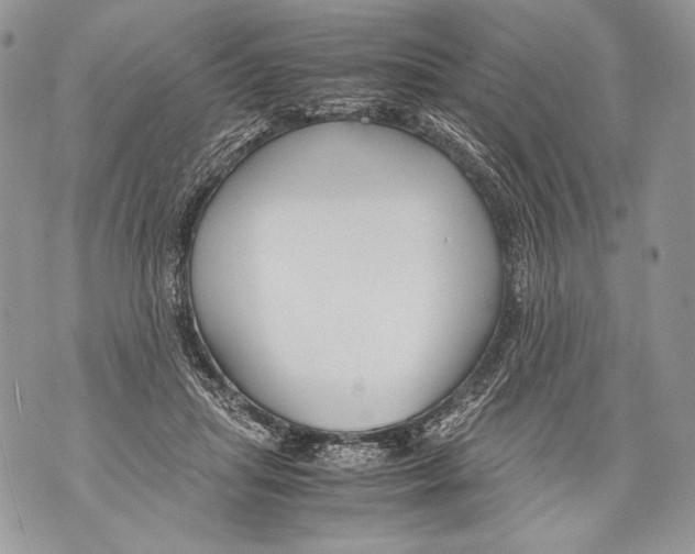 X0000071840455200607290112