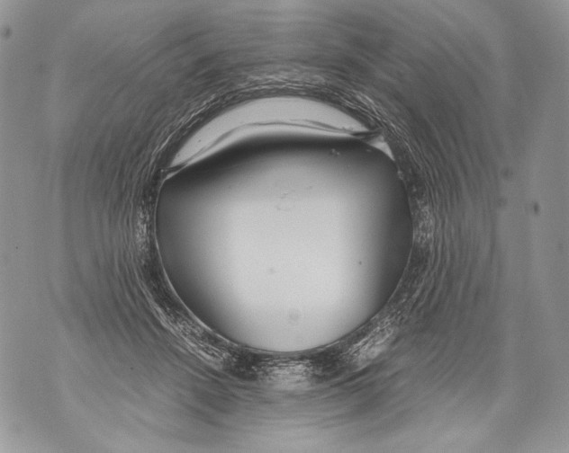 X0000071840456200607290112