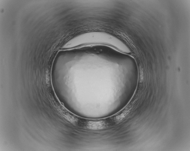 X0000071840457200607290112