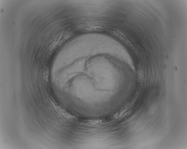 X0000071840458200607290112