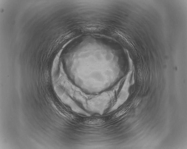 X0000071840459200607290112