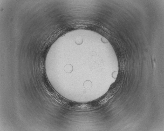 X0000071840460200607290112