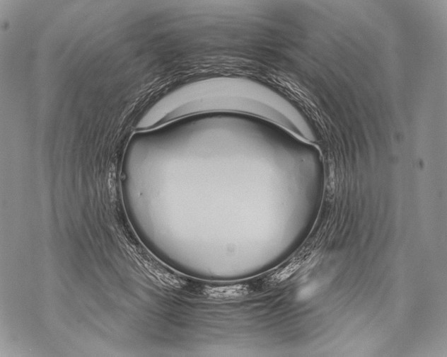 X0000071840461200607290112