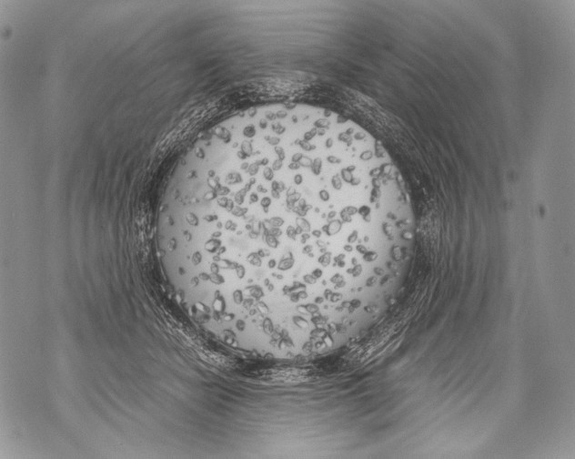 X0000071840462200607290112