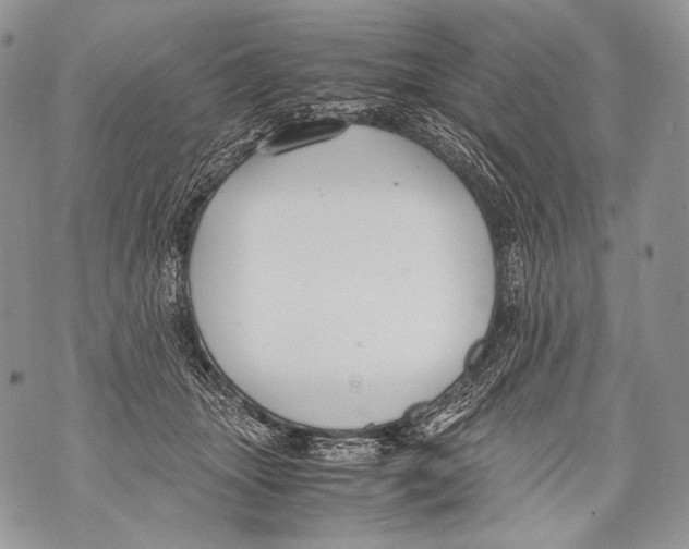 X0000071840463200607290112