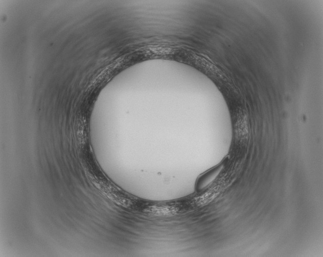 X0000071840464200607290112