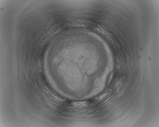 X0000071840465200607290112