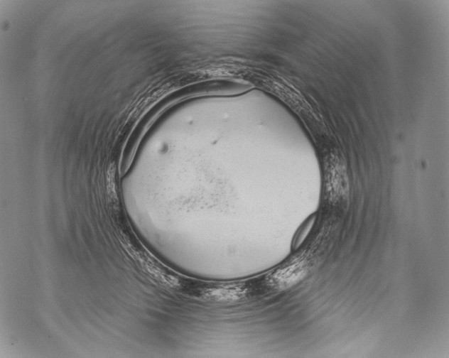 X0000071840466200607290112