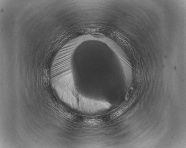 X0000071840467200607290112