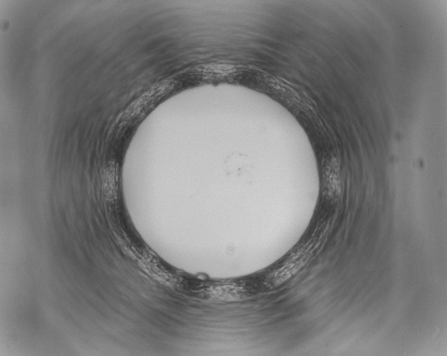 X0000071840468200607290112