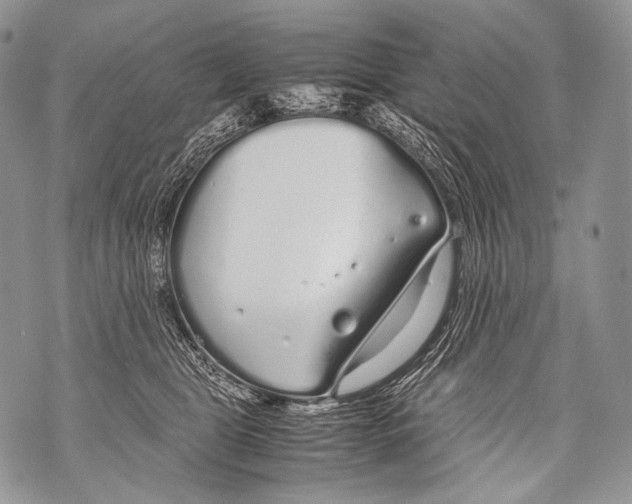 X0000071840469200607290112