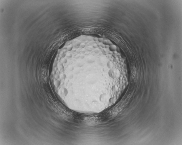 X0000071840470200607290112