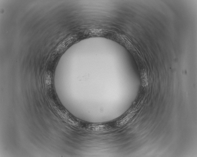 X0000071840472200607290112