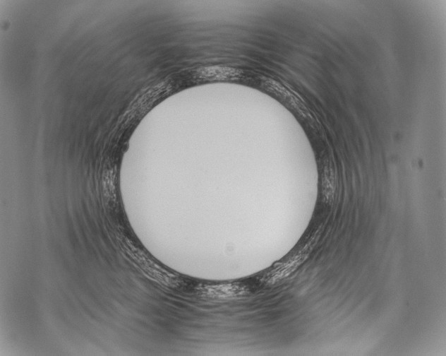 X0000071840473200607290112