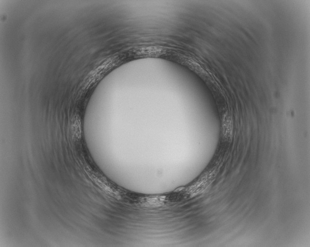 X0000071840474200607290112