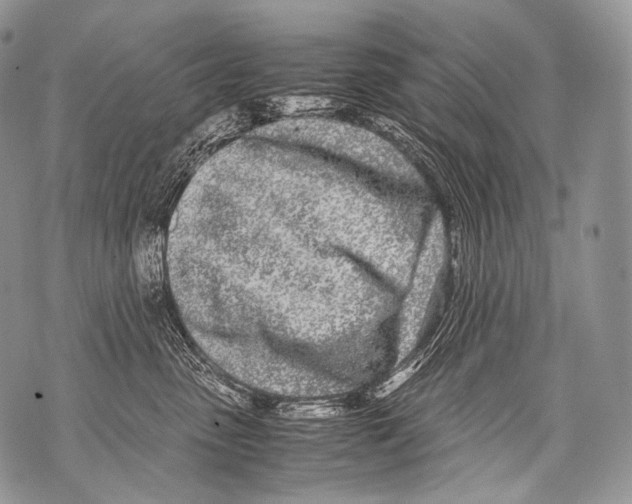 X0000071840475200607290112