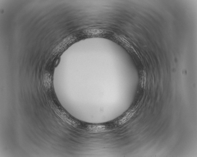 X0000071840476200607290112