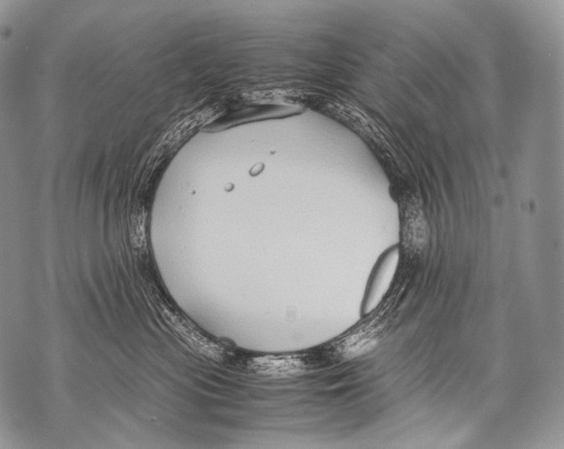 X0000071840477200607290112