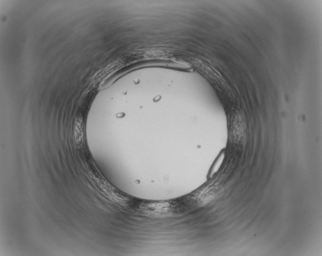 X0000071840478200607290112