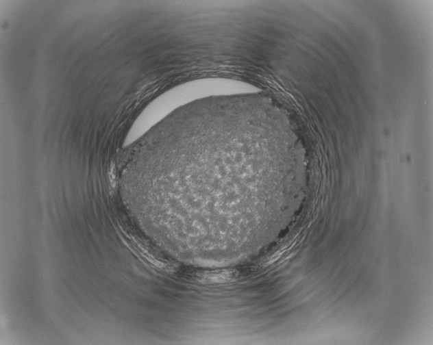 X0000071840479200607290112