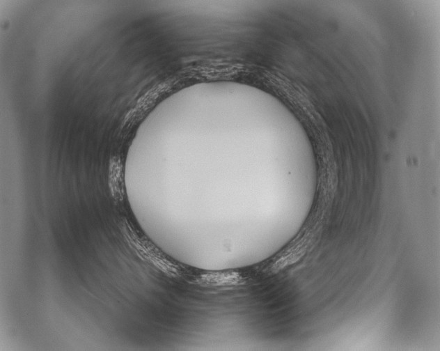 X0000071840480200607290112