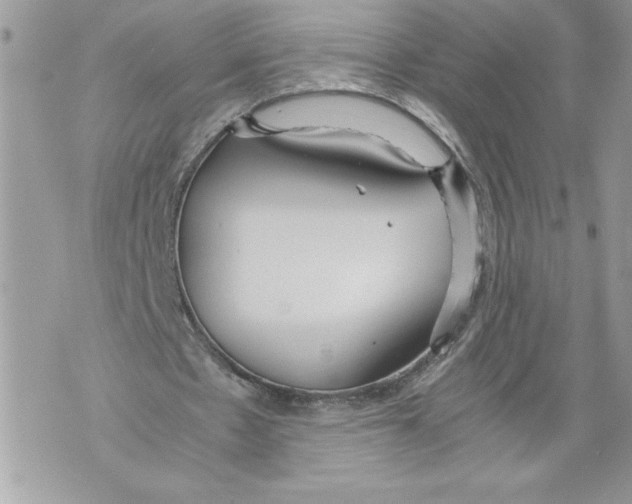 X0000071840481200607290111