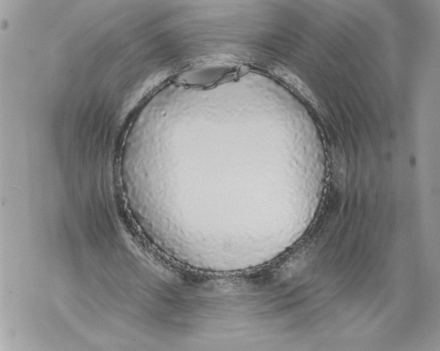 X0000071840482200607290111