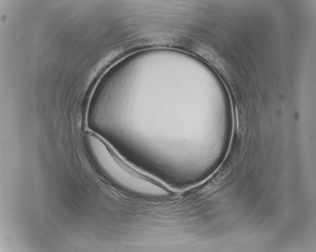 X0000071840483200607290111