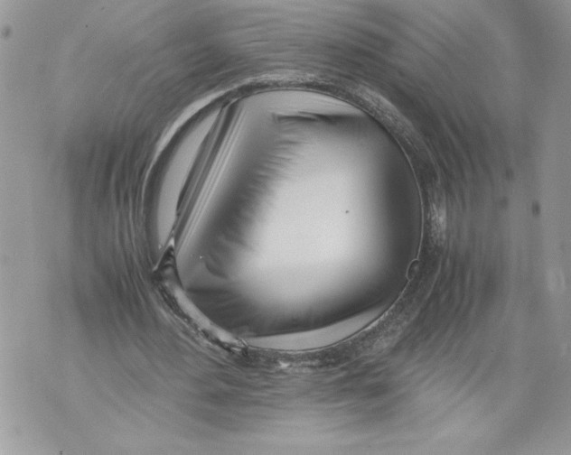 X0000071840484200607290111