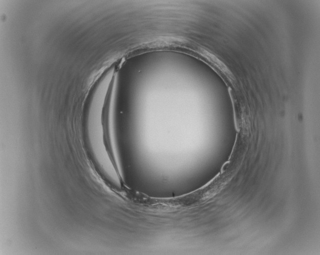 X0000071840485200607290111